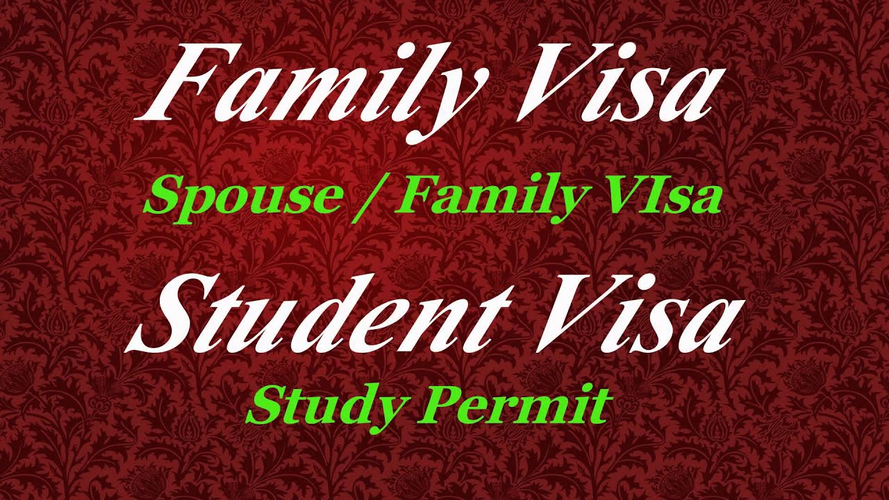 Expert Visa immigration consultant - Permits and Visas Dubai UAE