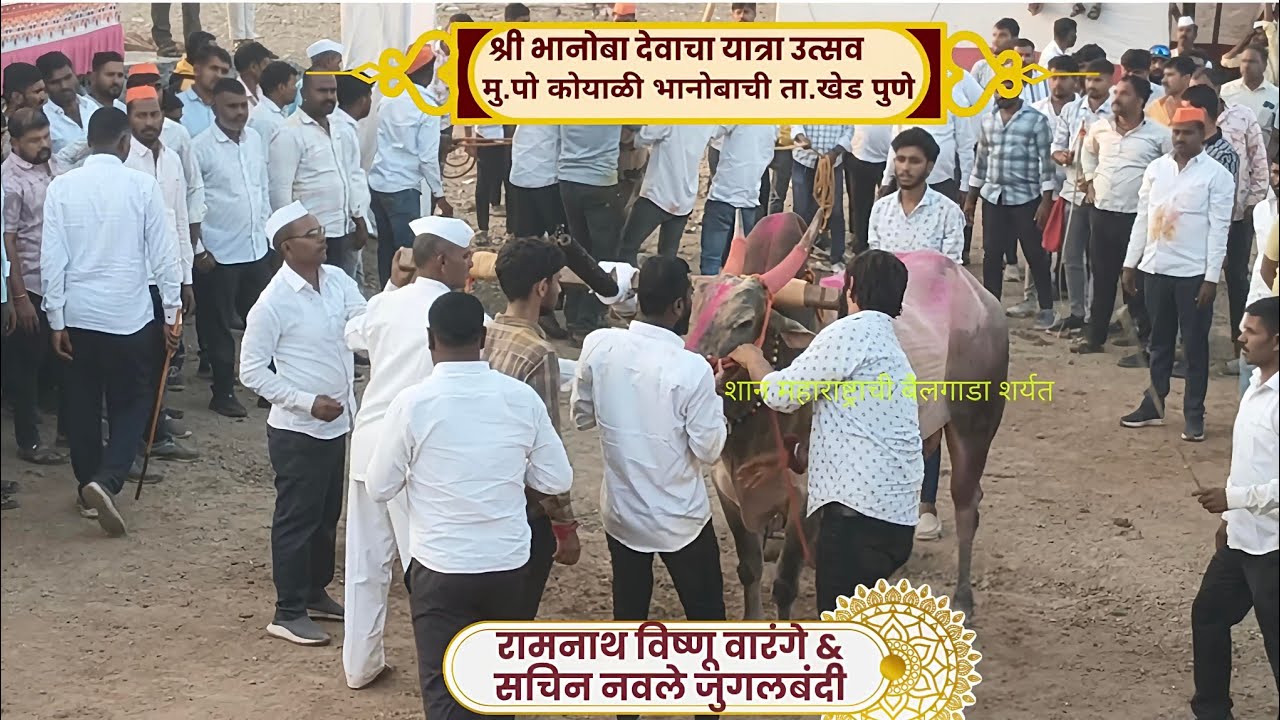 l ओम्या & राणा आला जुपायला l 