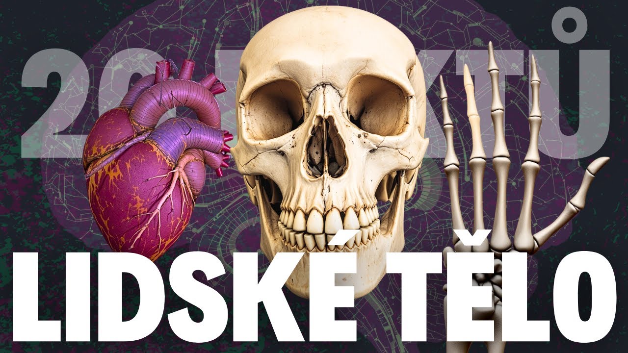 🤯Děsiv&aacute; Fakta o Lidsk&eacute;m Těle: Sv&iacute;t&iacute;me ve tmě? Můžeme ž&iacute;t bez srdce? #lidsketelo #zajimavosti #fakta