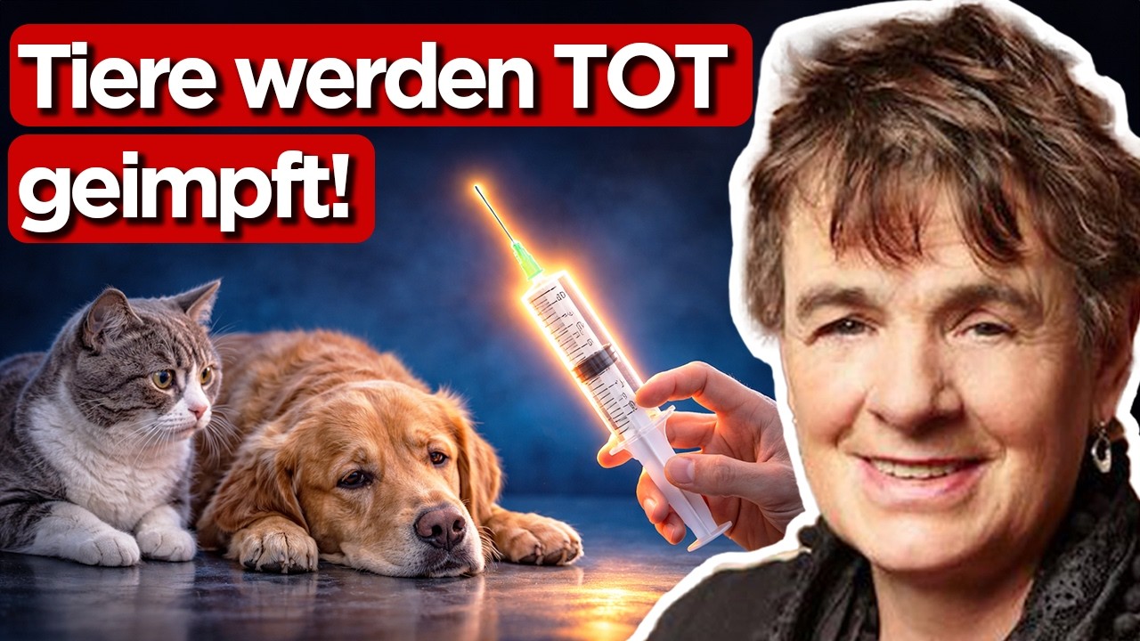 Krebs bei Haustieren explodiert: Tierärztin enthüllt, warum