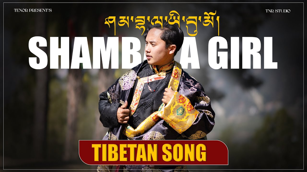 Shambala Girl  | ཤམ་བྷ་ལ་ཡི་བུ་མོ  | New Tibetan Cover Song 2025 | Love Song | Tenor Lama
