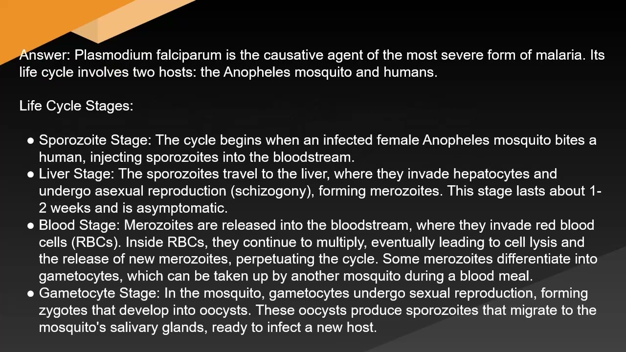 USMLE United States Medical Licensing Examination Step 1 Study Notes One