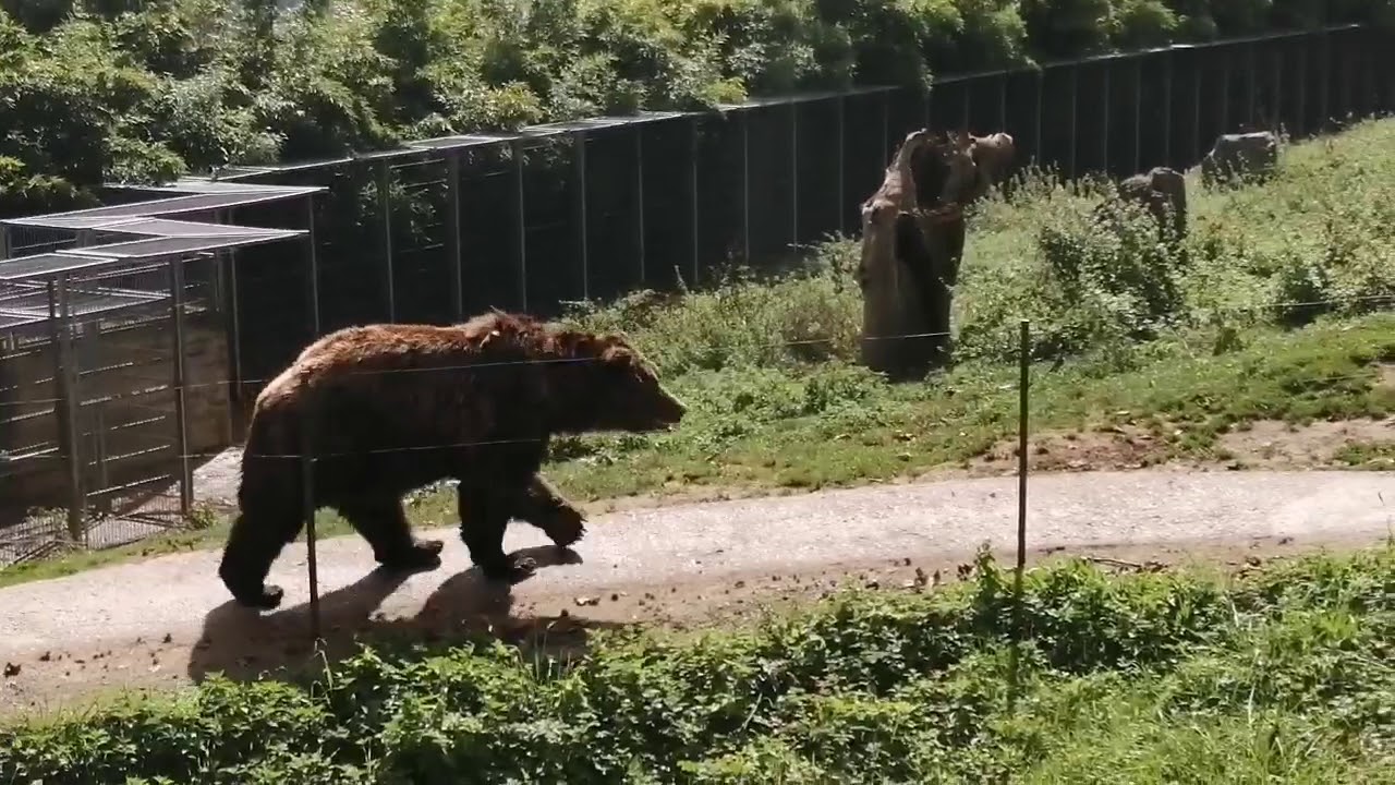 Karpin Fauna Bizkaia 🇪🇦