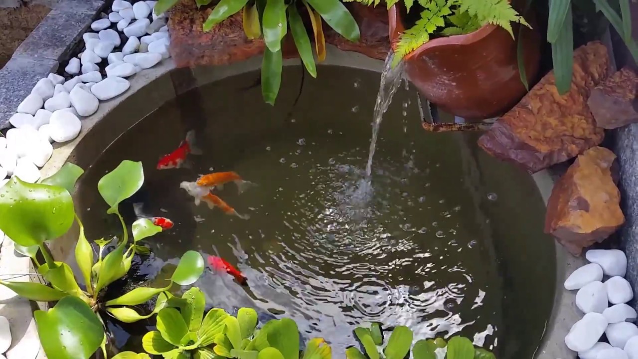 Laguinho - Fonte Ornamental - Gilson Guedes