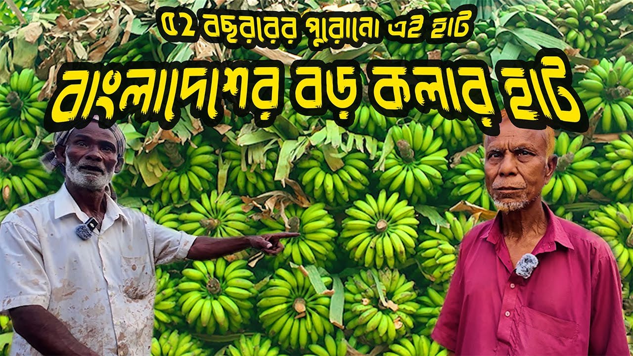 বাংলাদেশের বৃহত্তম কলার বাজার কুতুবপুর, টাংগাইল