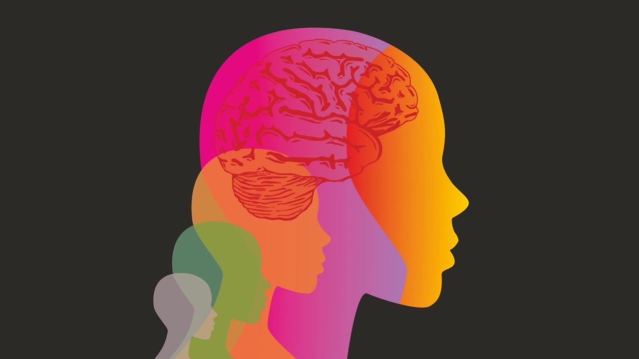 INTRODUÇÃO AO ESTUDO DA PERSONALIDADE [AULA COMPLETA]