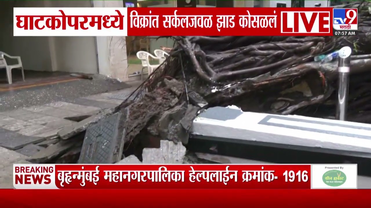 Mumbai Ghatkopar | घाटकोपरमध्ये विक्रांत सर्कलजवळ झाड कोसळलं