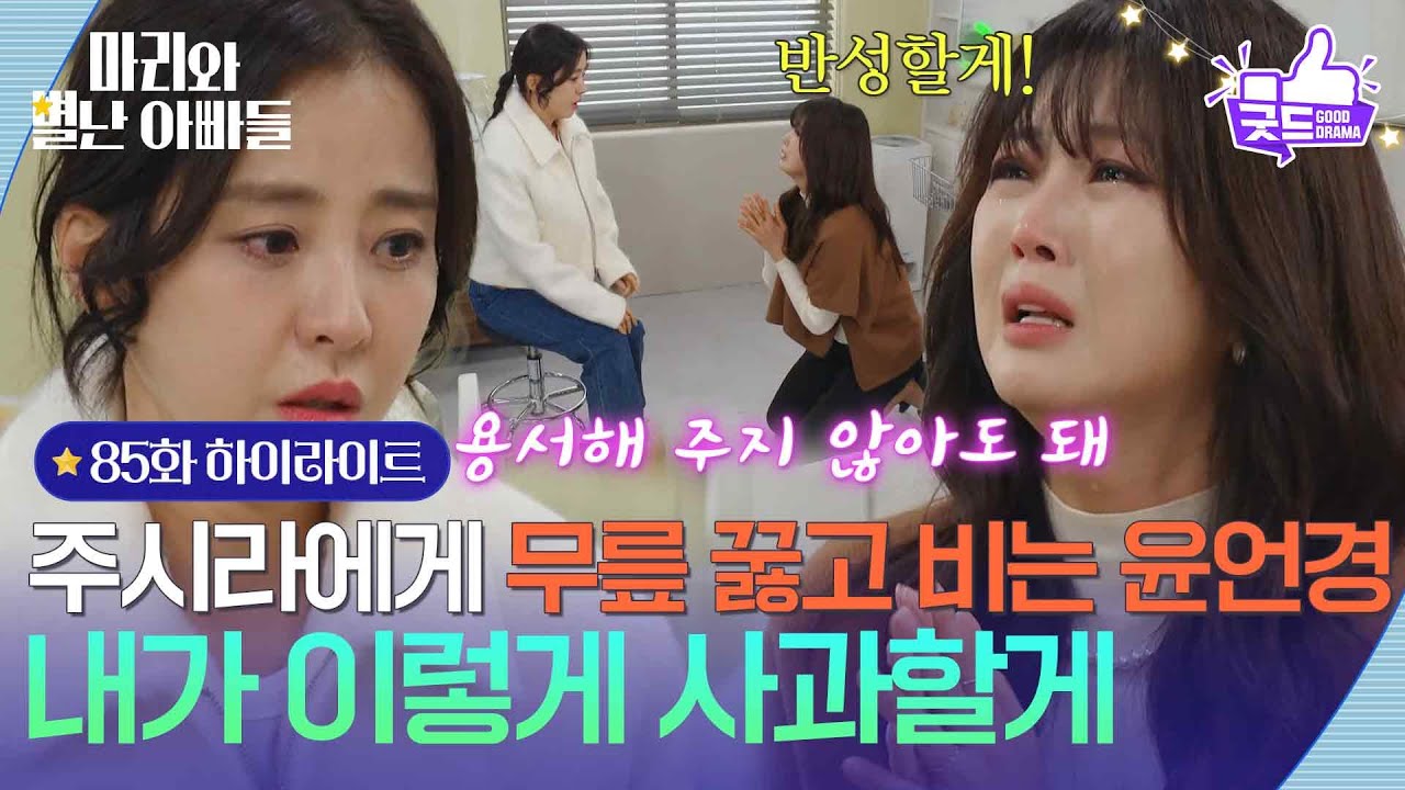 [85화 하이라이트] ＂내가 이렇게 사과할게, 우리 솔이 살려줘＂ 박은혜에게 무릎 꿇고 비는 조향기 [마리와 별난 아빠들] | KBS 260206 방송