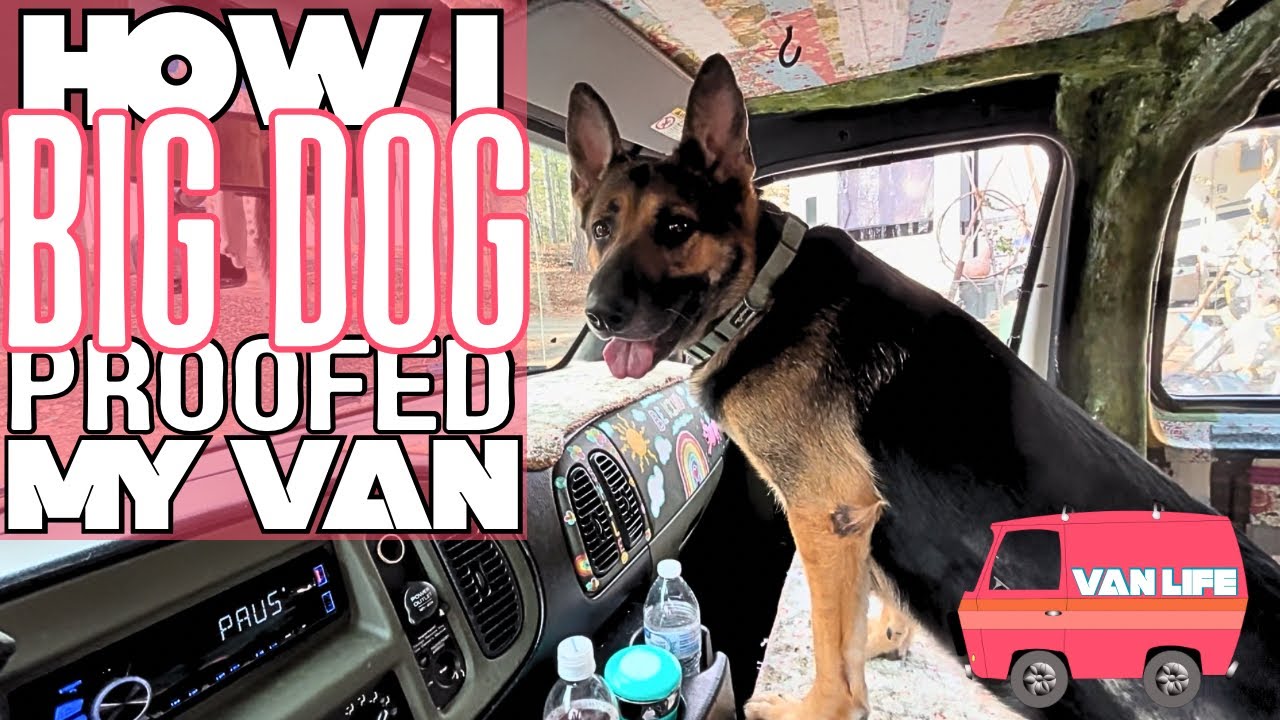 DIY Van Mods for Big Dogs | Safer & More Comfortable Travel
