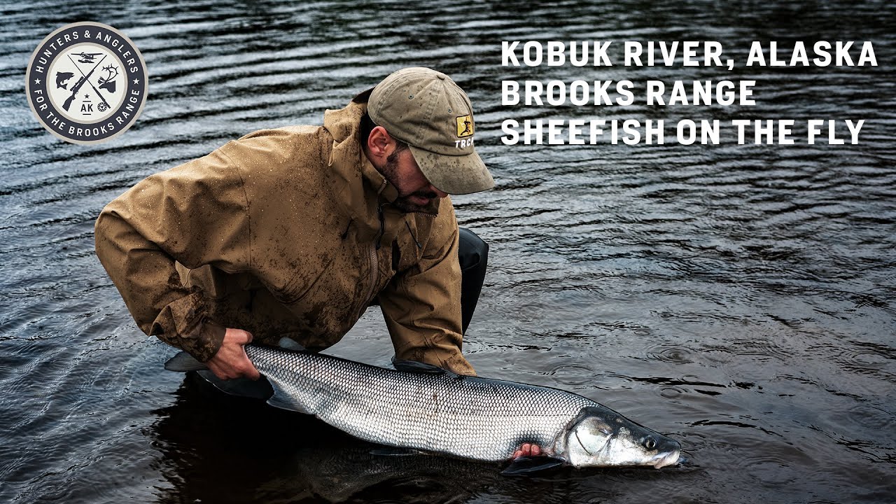 Sheefish, Grayling, Salmon & Pike | Epic Fishing on Alaska’s Kobuk River