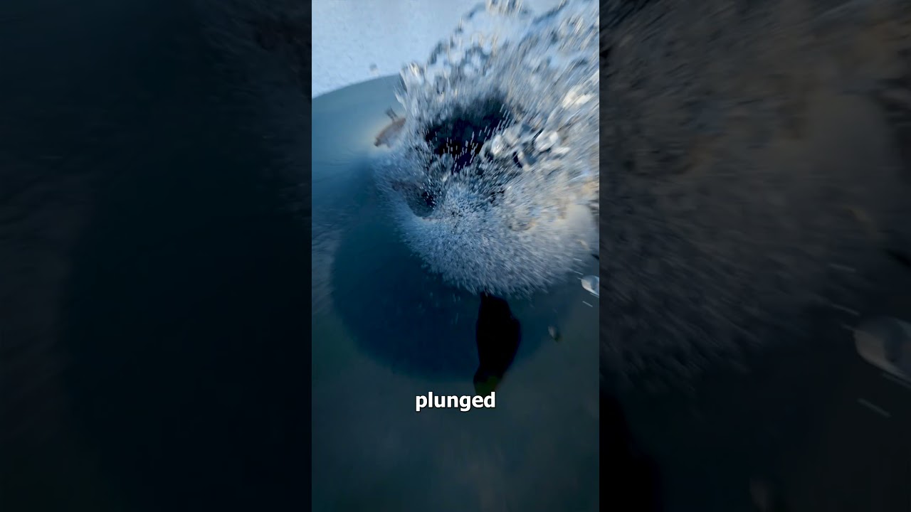 A Deadly Bridge Jump Attempt 😨