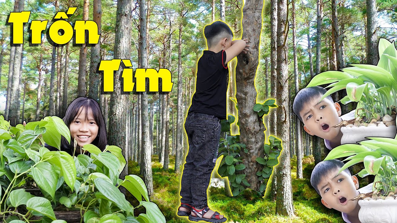 Chơi Trốn Tìm Quanh Nhà | Tuổi Thơ Dữ Dội ♥ Minh Khoa TV
