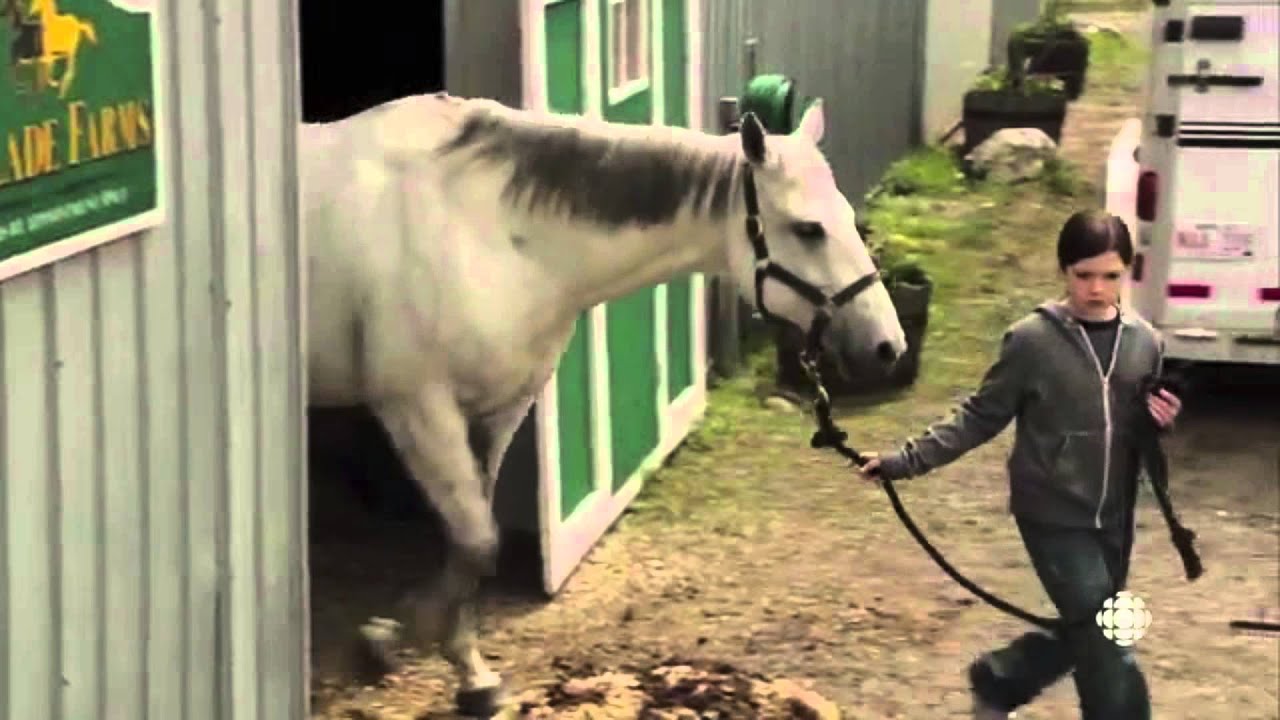 heartland - 6x1-6x2 brand new life