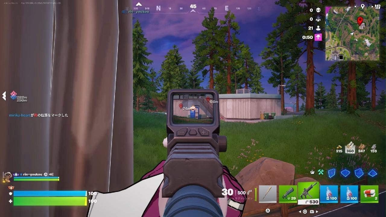 Fortnite_ランクディオ（リンさんと私）