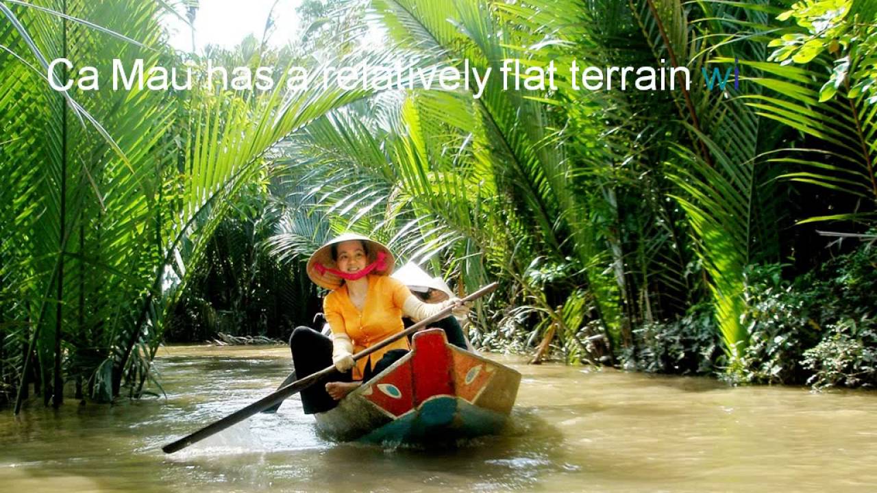 ca mau travel guide - the salt-marsh ecological system and diversified flora and fauna system.