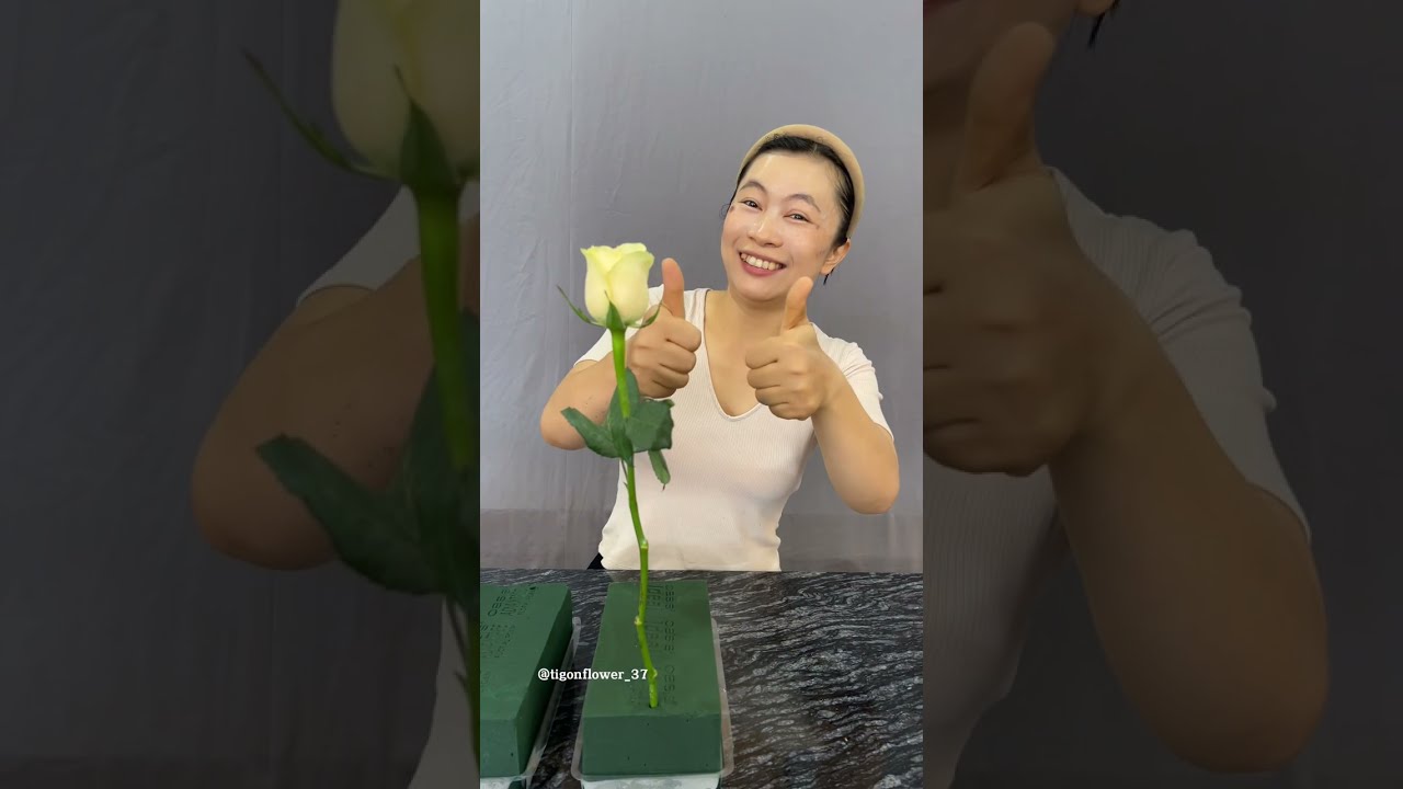 SỰ KH&Aacute;C NHAU CỦA C&Aacute;C LOẠI M&Uacute;T CẮM HOA HAY GẶP