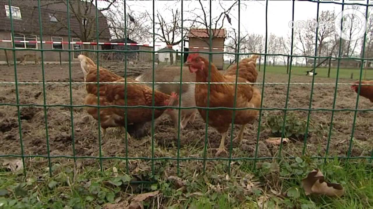 Kamerleden bekijken situatie in Helhoek