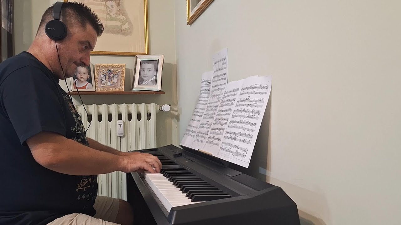 Bach Fugue n 24 in B minor BWV 869 Pianoteq HQ