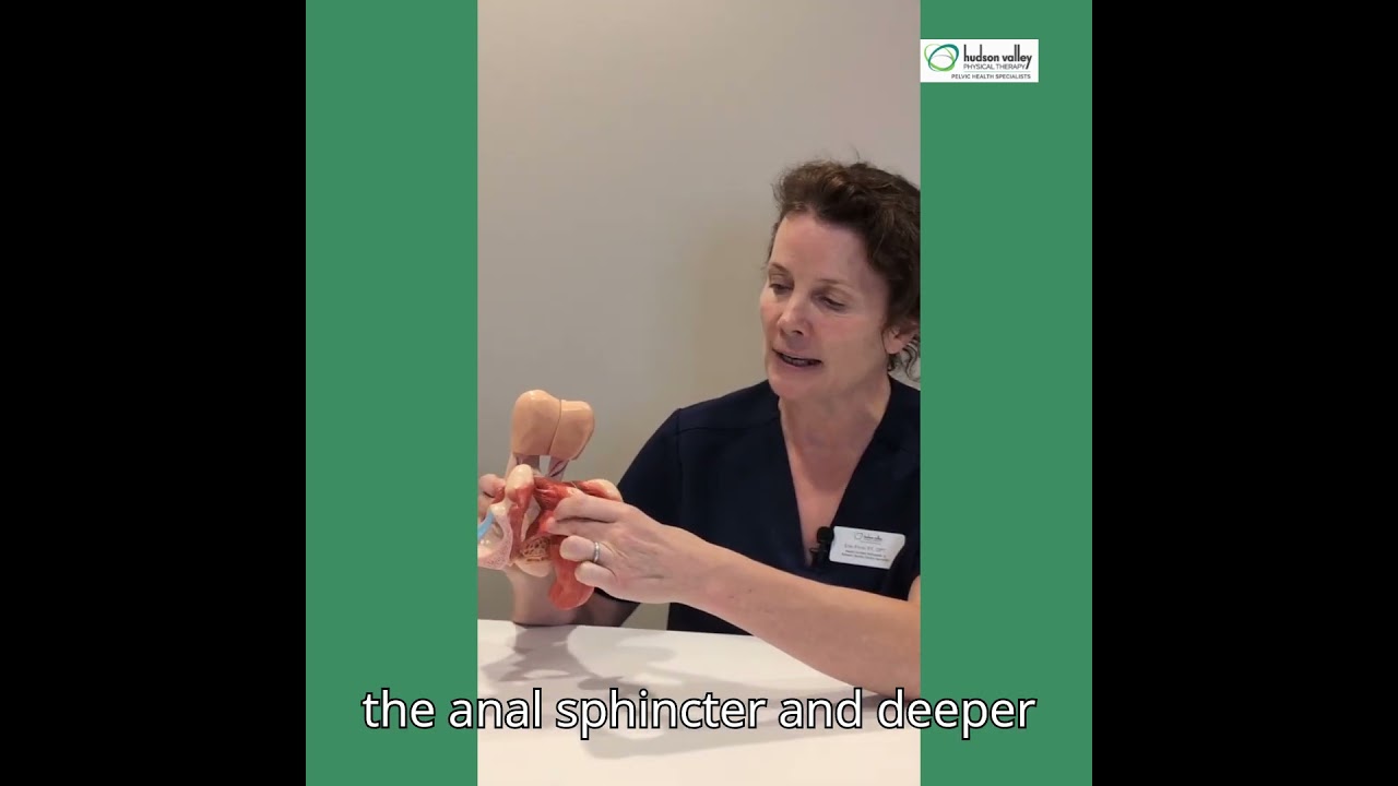 Pelvic Health Physical Therapy Men's Health
