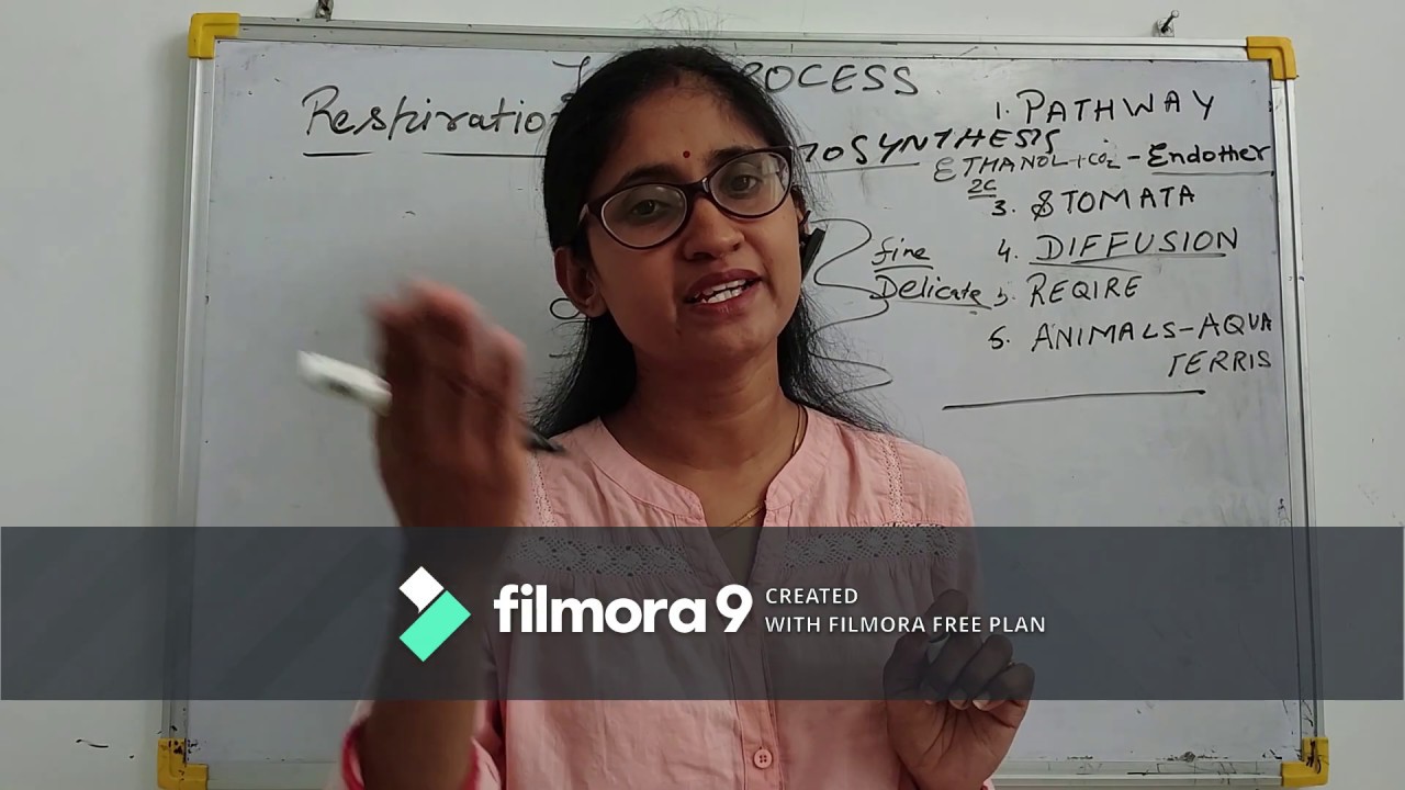 Life Process Lecture 3