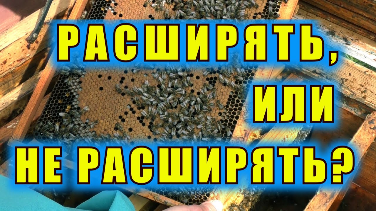 РАСШИРЯТЬ, ИЛИ НЕ РАСШИРЯТЬ? ОСНОВНЫЕ ПРИЗНАКИ.