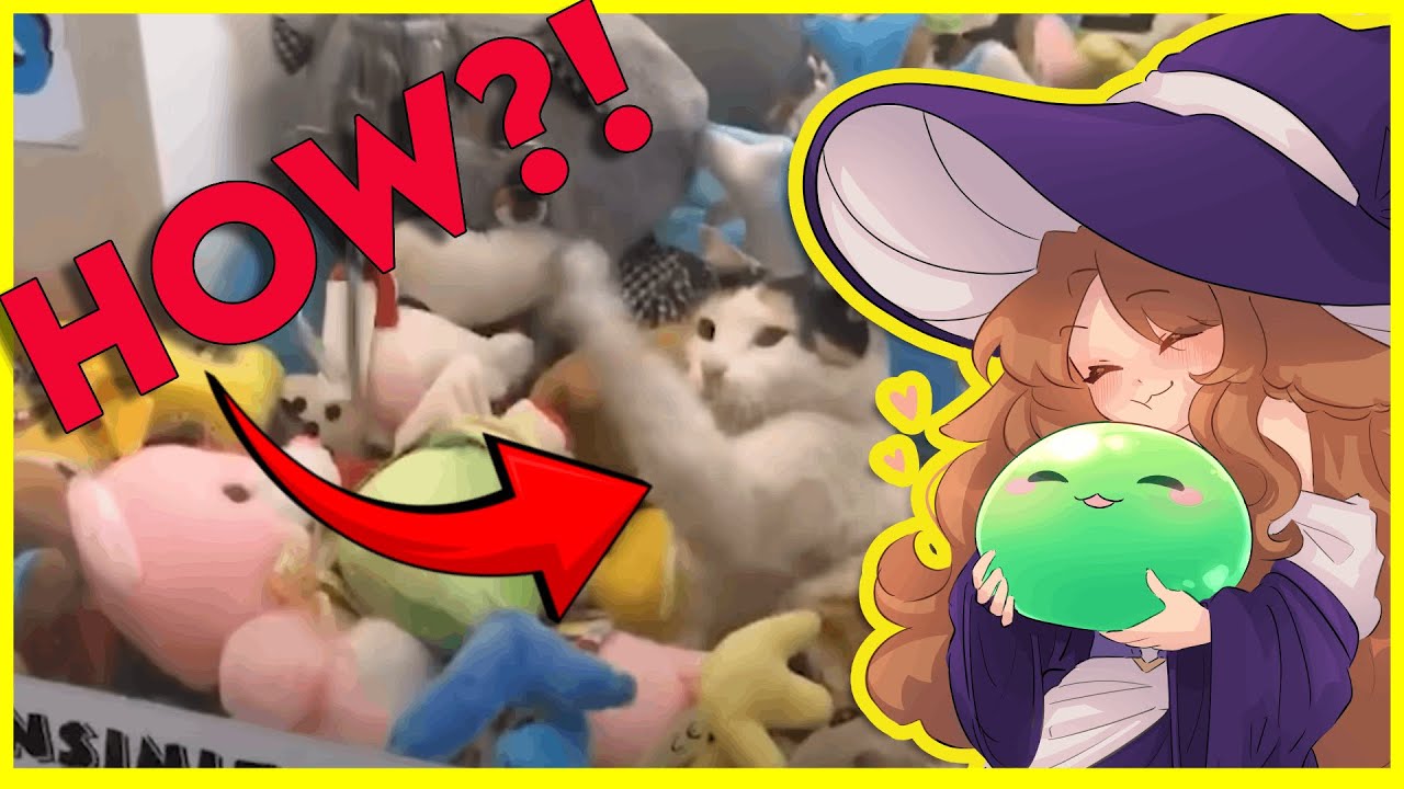 Vtuber Couple takes another daily dose of internet