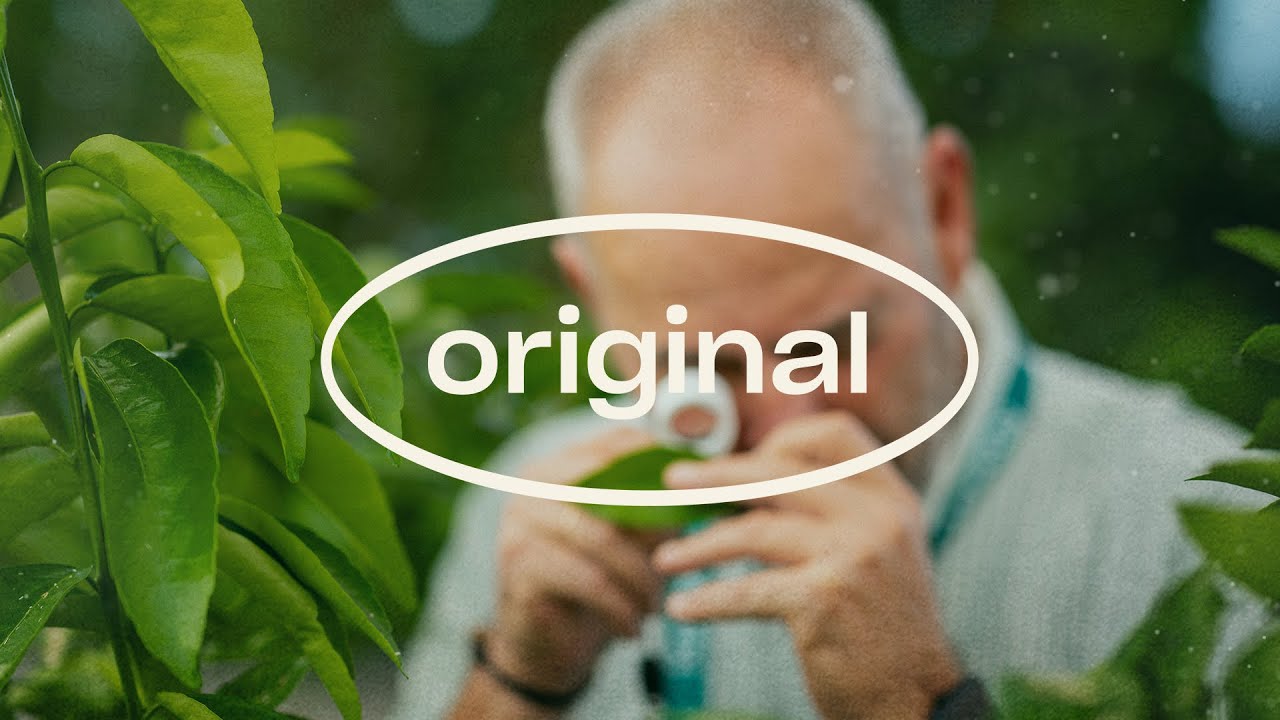 Historias originales - José Eduardo Belda