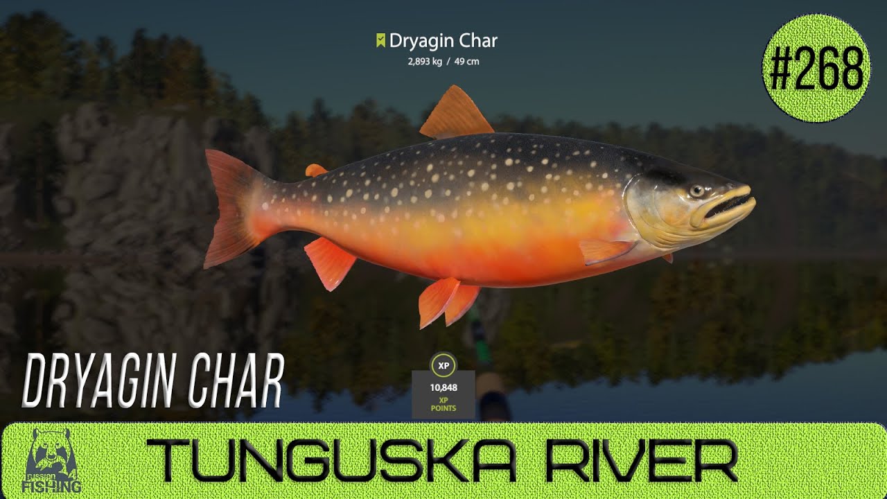 Russian Fishing 4 - Tunguska River - Dryagin Char - #268