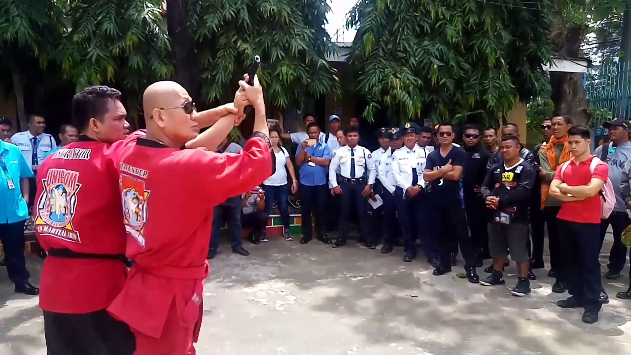 UNICOM MMA Gun disarming technique
