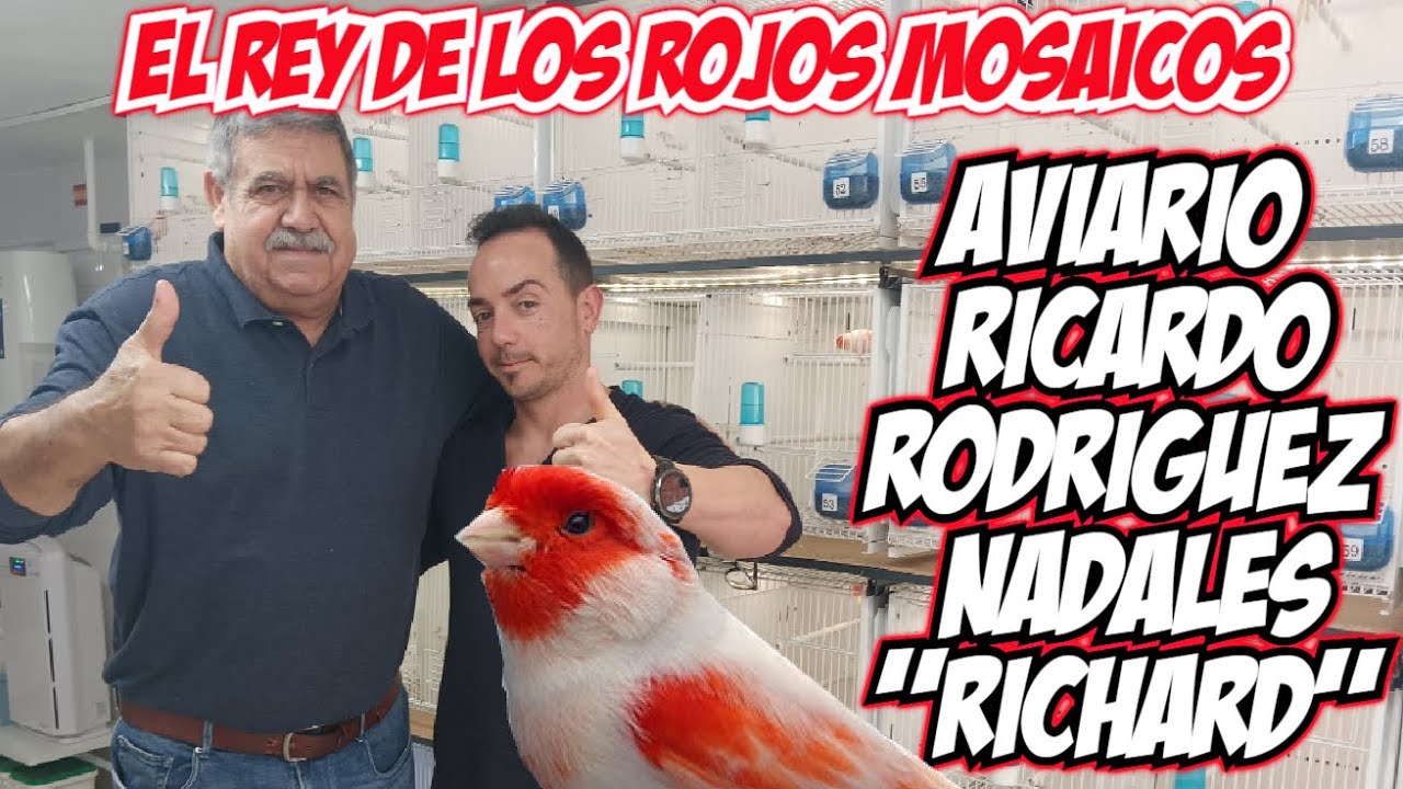EL REY DE LOS MOSAICOS RICARDO RODRIGUEZ NADALES "RICHARD"