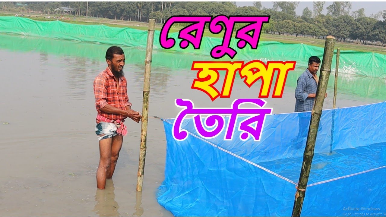 কম খরচে পুকুরে হাপায় রেণু চাষ ।সহজ পদ্ধতিতে মাছ চাষ । রুবেল মিয়া। Mach Bari .