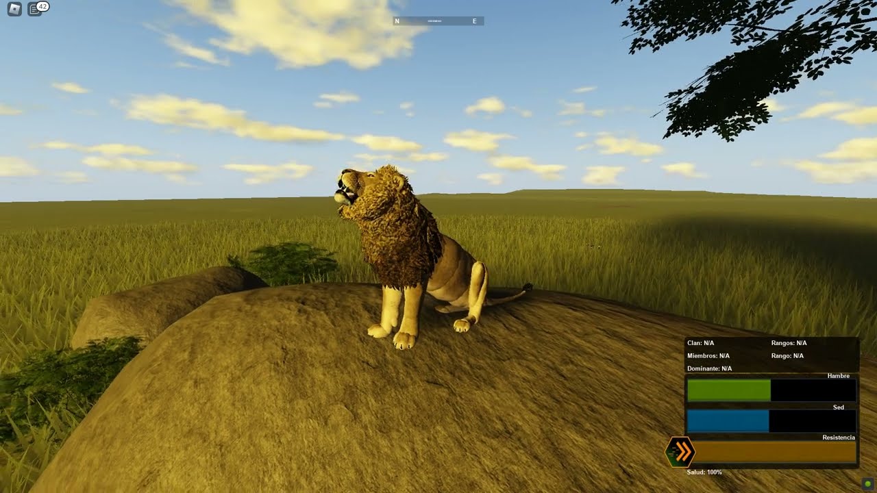 #12| Luchando por el Territorio | León africano  | WILD SAVANNA |Roblox Gameplay