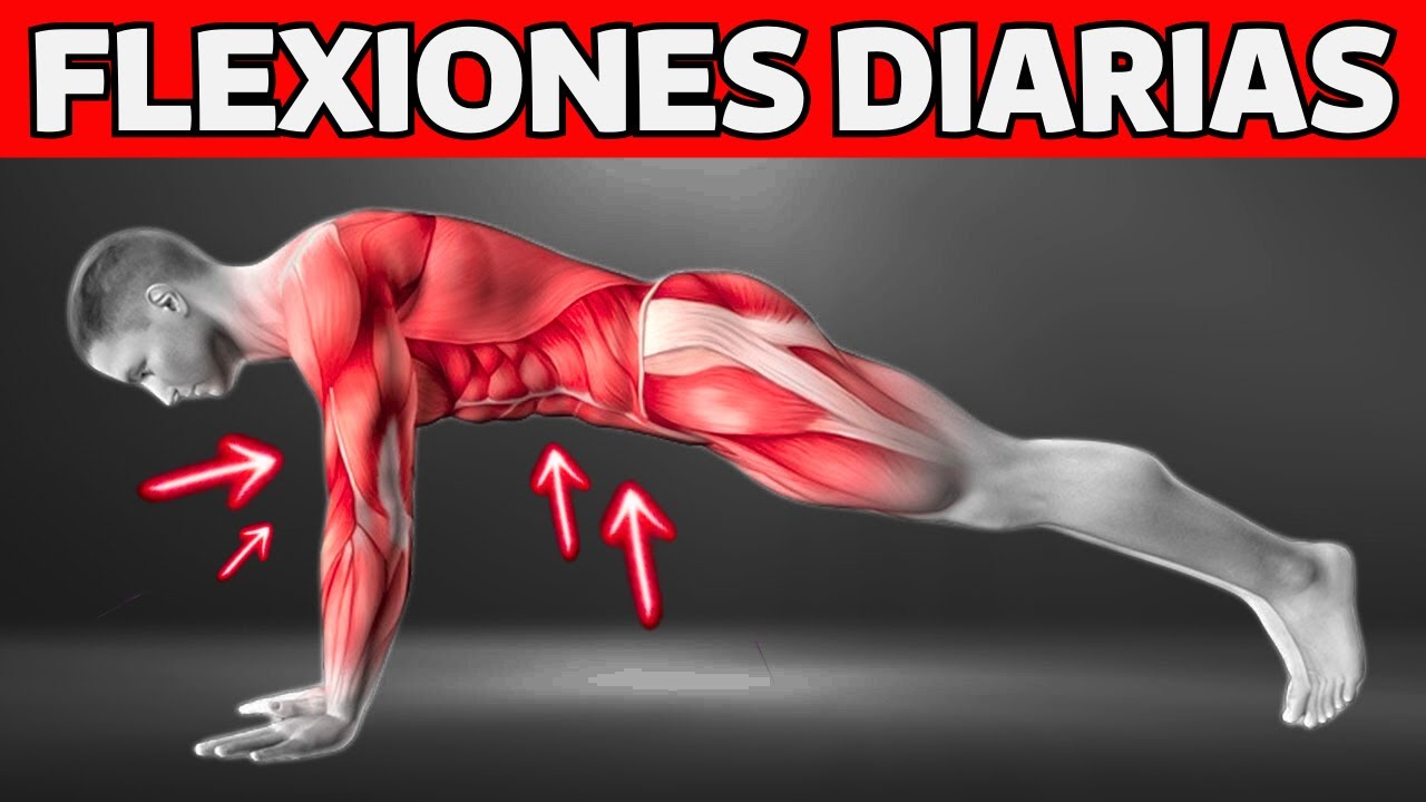 ✅La Ciencia REVELA Cuantas FLEXIONES Diarias Hacer Para Desarrollar Musculo