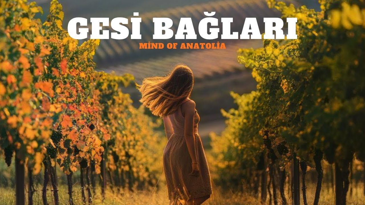 Gesi Bağları | Psychedelic Anatolian Rock1970's | Mind of Anatolia
