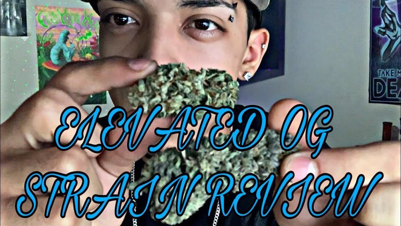 ELEVATED OG STRAIN REVIEW! (2019 CANNABIS GROW) #Elevated #Tasty