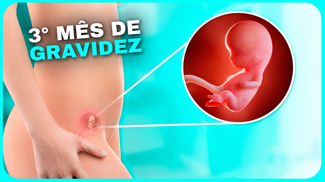 3 Meses de Gravidez: A Fase M&aacute;gica da Gravidez | Semanas 9, 10, 11, 12