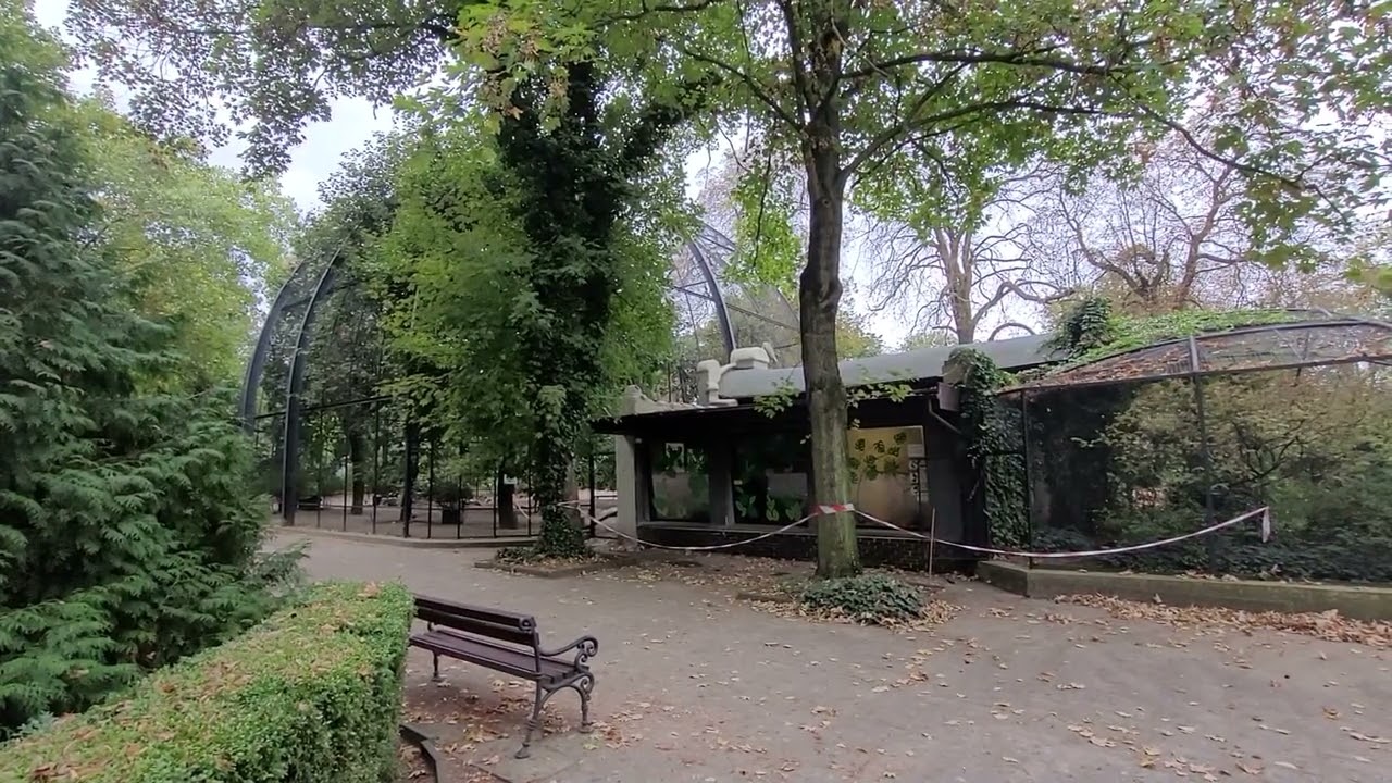 Poznaniacy wybrali: w Starym Zoo powstaje ogród w stylu japońskim