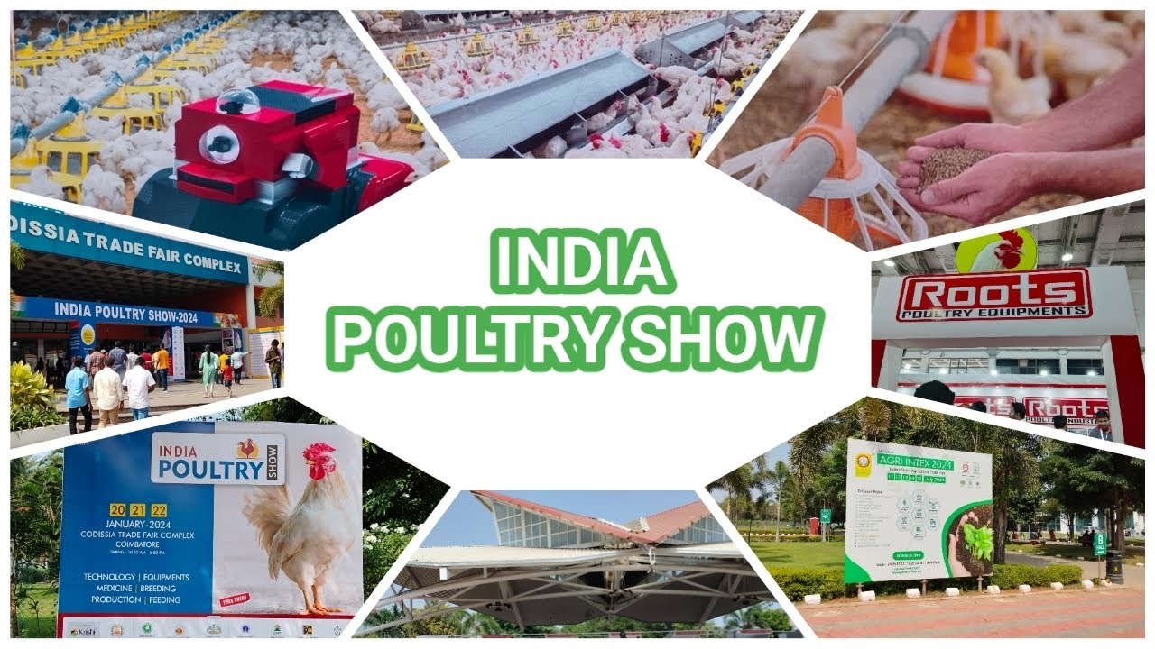 India poultry show 2024 in coimbatore #poultryfarm #poultryshow #mbsfarmhouse