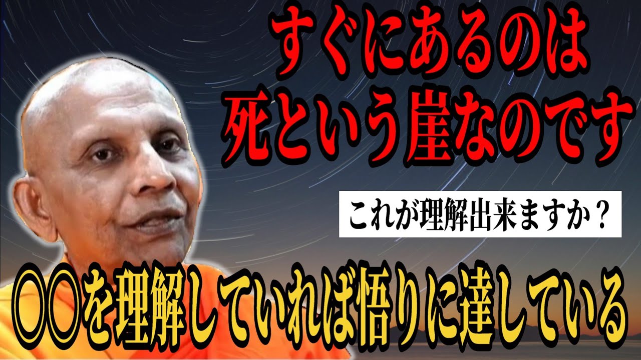 【生と死】悟りに達している人はこれを理解しています【スマナサーラ長老切り抜き】