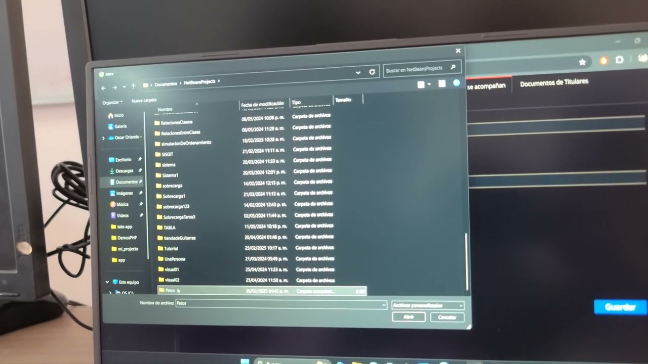 Registro de una obra en sindautor - (progama de computo/patos)