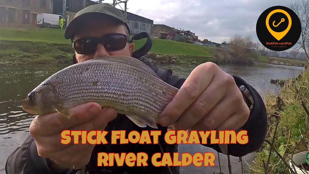 Stick float fishing - River Calder grayling