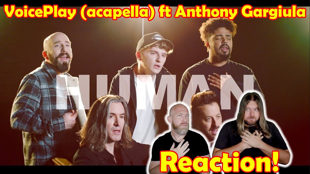 Musicians react to hearing VoicePlay for the very first time!