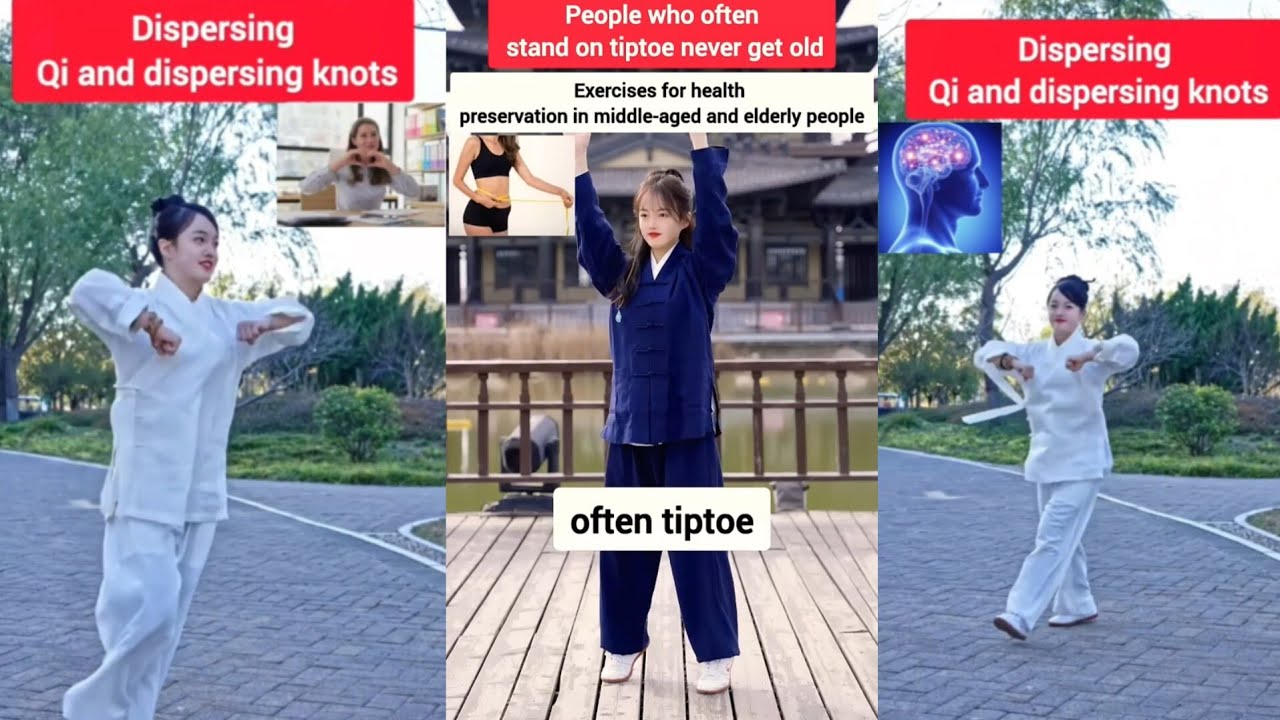 The Daily 15 Workout For Beginners At Home. Simple and Effective | Tai Chi Waner 