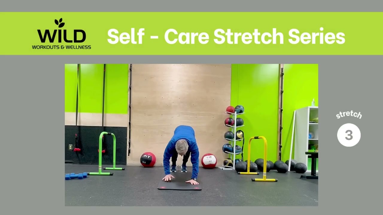 Wild Workouts Self-Care Stretch Series