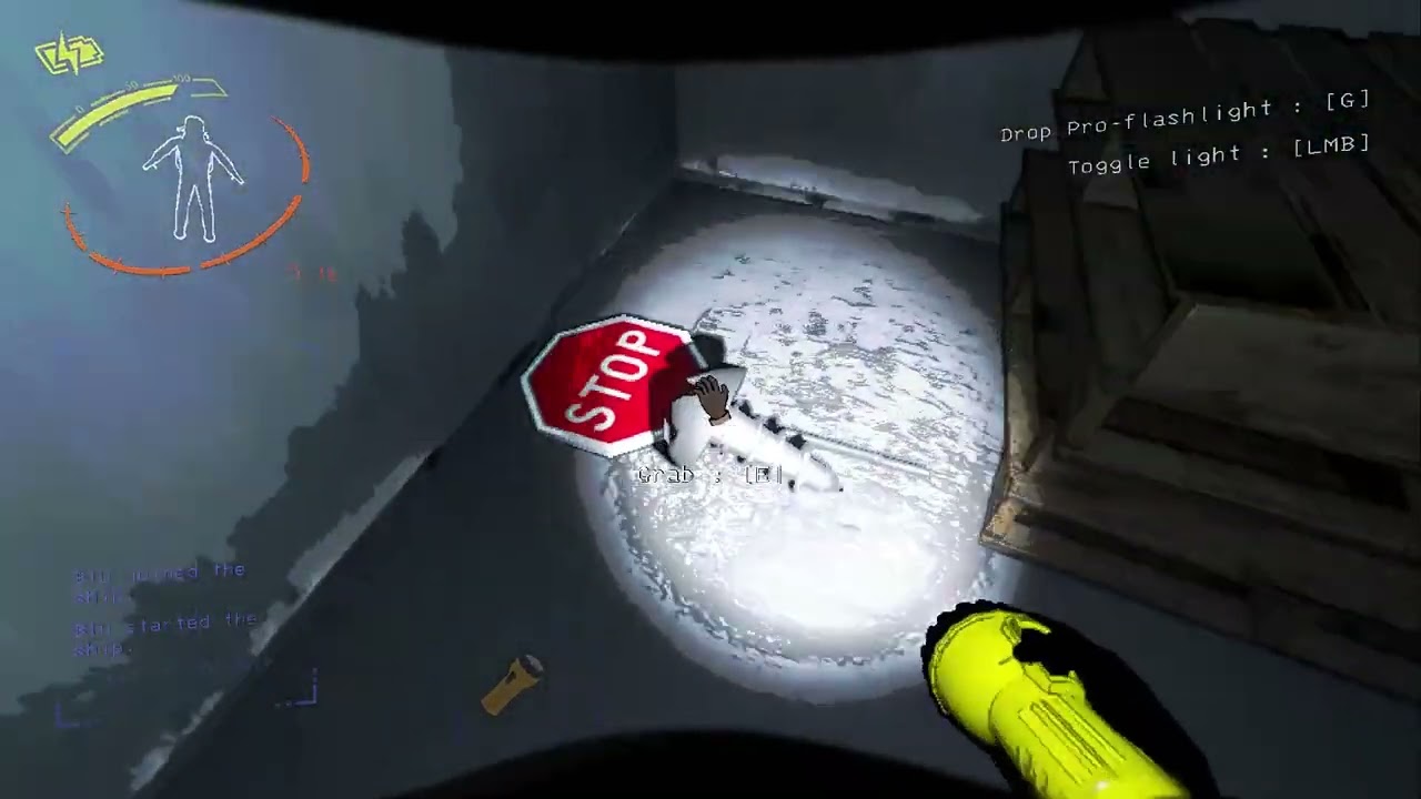 Where did bro even come from