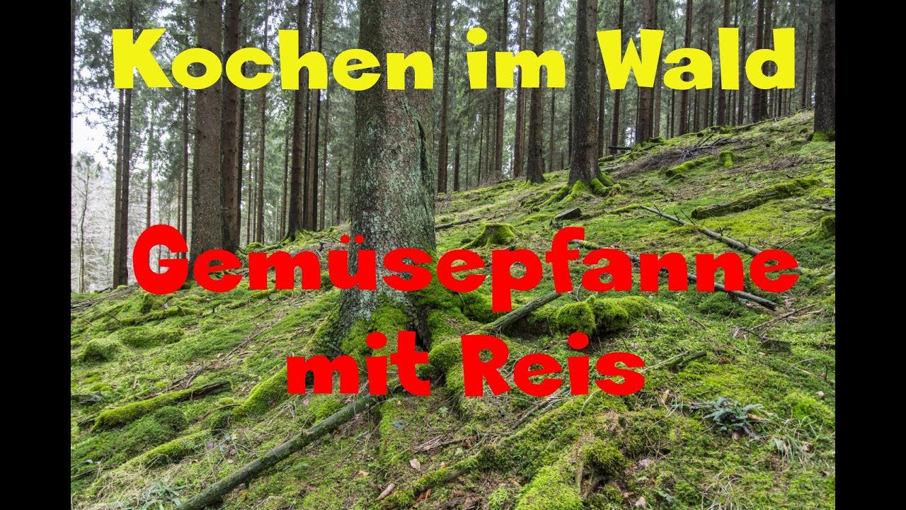 Kochen im Wald #2 [Gemüsepfanne mit Reis]