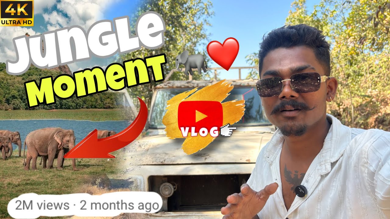 Road Trip to Jharkhand 🚘 | Scenic Travel Vlog #jnp #gadi #driving #car #travel #jharkhand 