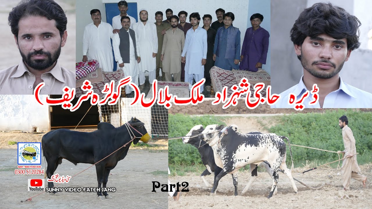 Sunny Video Fateh Jang Dera Malik Blail Part 2