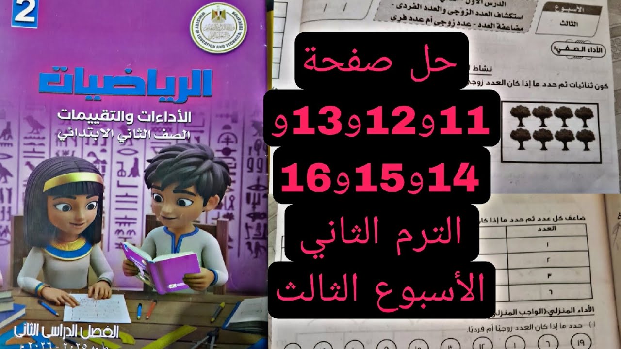 حل صفحة 11و12و13و14و15و16 كتاب التقييمات رياضيات الصف الثاني الابتدائي الأسبوع الثالث الترم الثاني 