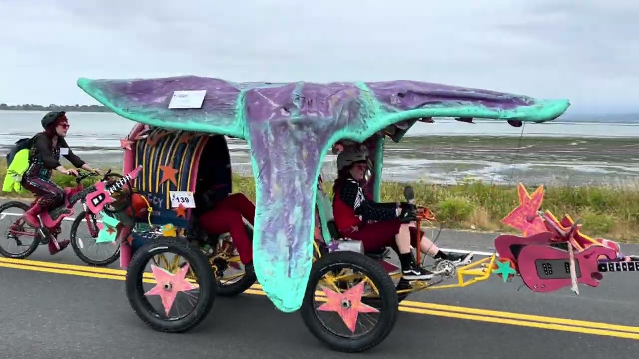Kinetic Sculpture RACE Samoa Bridge crossing! Almost to the end, FOR THE GLORY!